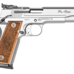 Smith & Wesson Pc 1911 Pro 9mm 10rd Sts As